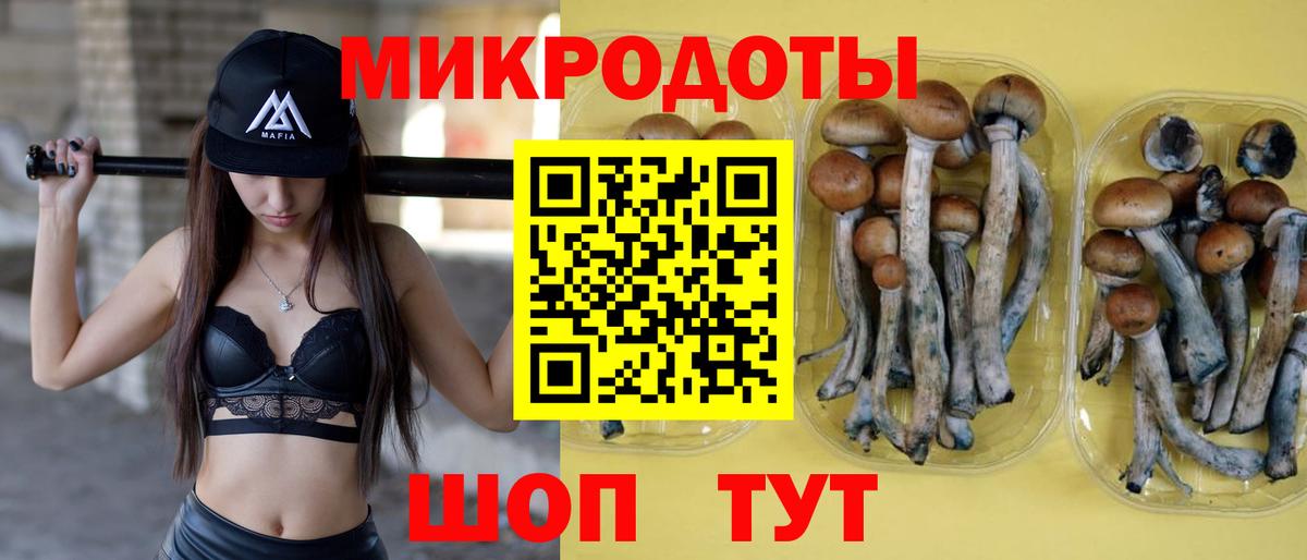 Киржач  Псилоцибиновые грибы GOLDEN TEACHER  Галлюциногенные грибы ЛСД  Вход с VPN 