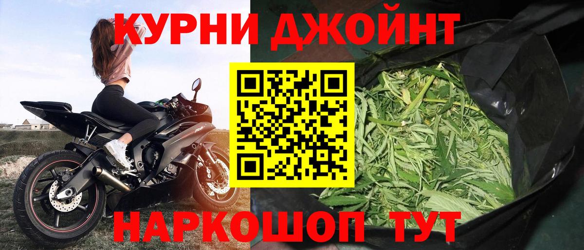 Конопля сатива Киржач